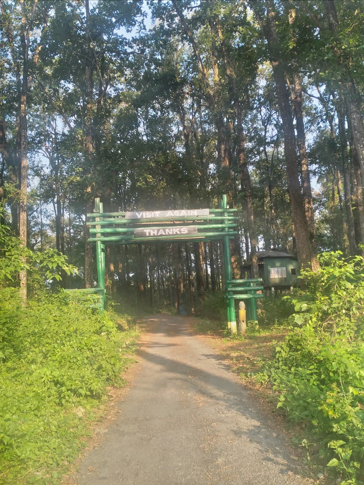 Sukna Forest Gate - Image 1