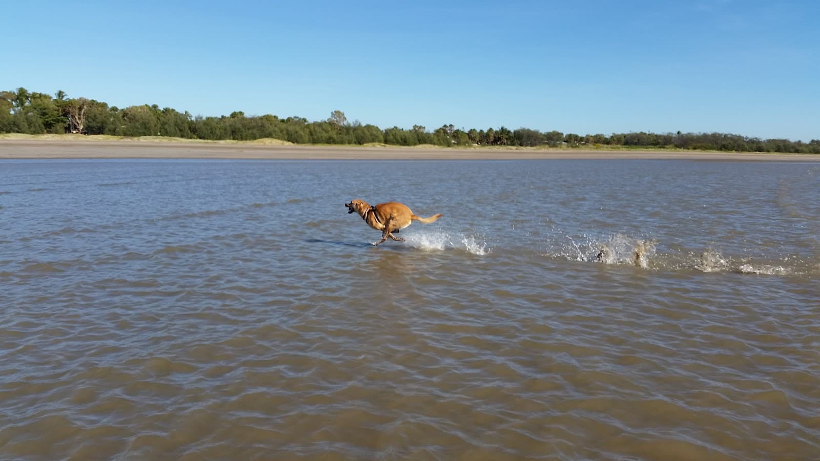Kinka Beach - Image 1