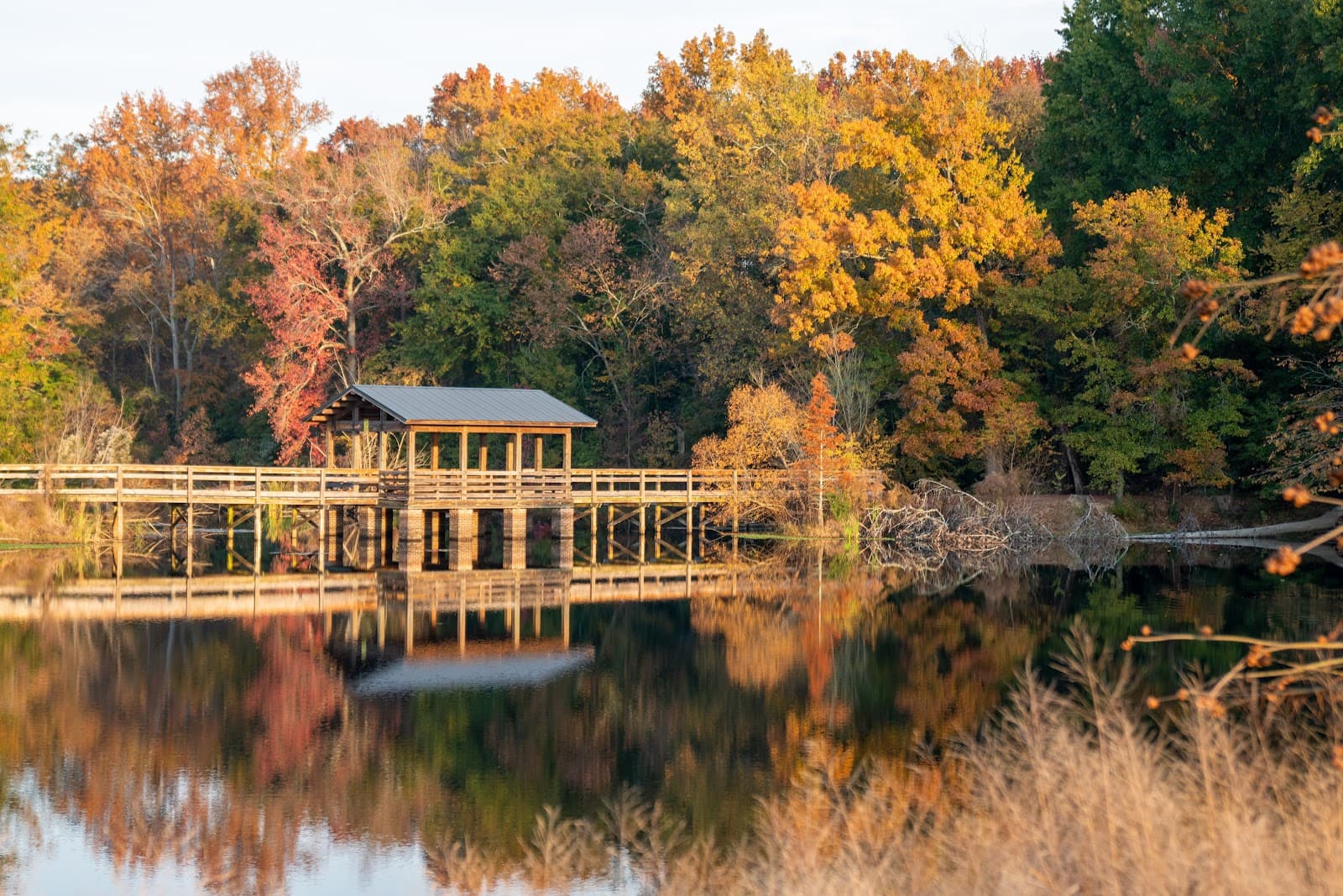 Brick Pond Park - Image 1