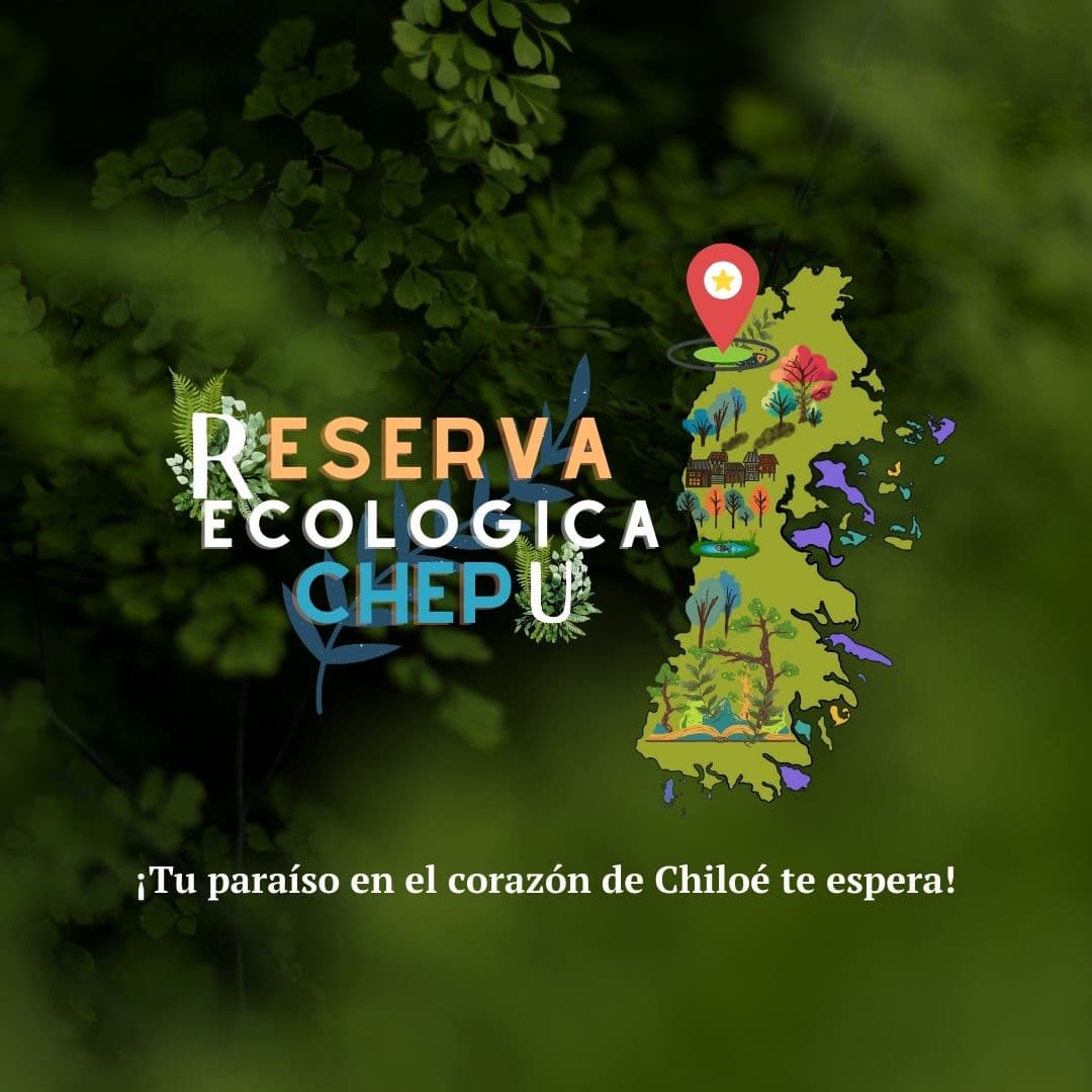Chepu River & Sunken Forest - Image 1