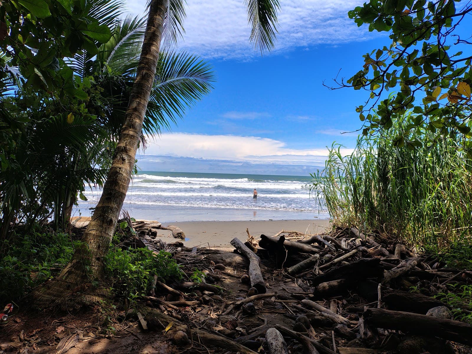 Playa Colonia - Image 1