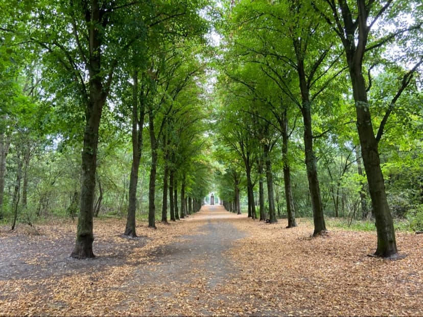 Scheveningse Bosjes - Image 1