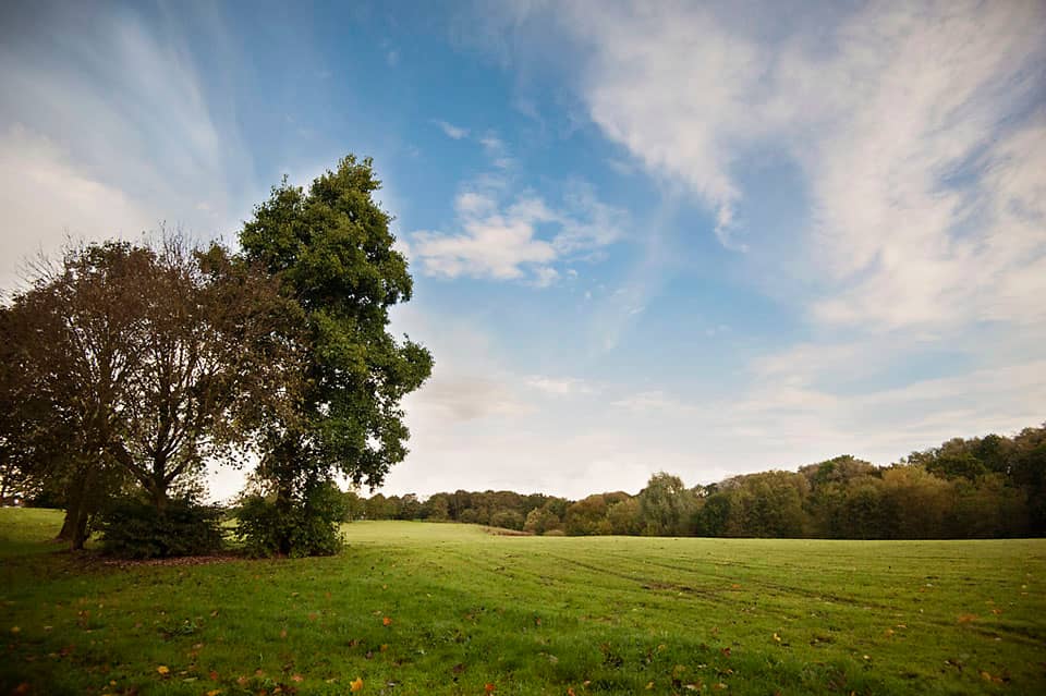Wetland Restoration Area