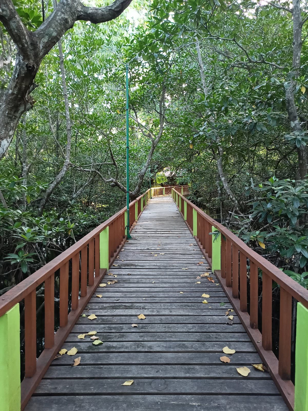 Mantehage Island - Image 1