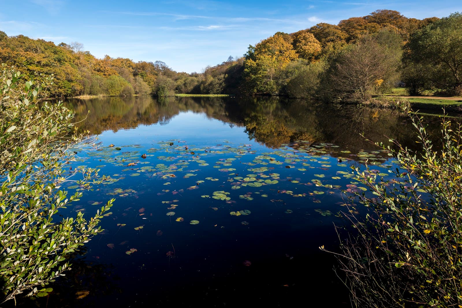Eyeworth Pond - Image 1