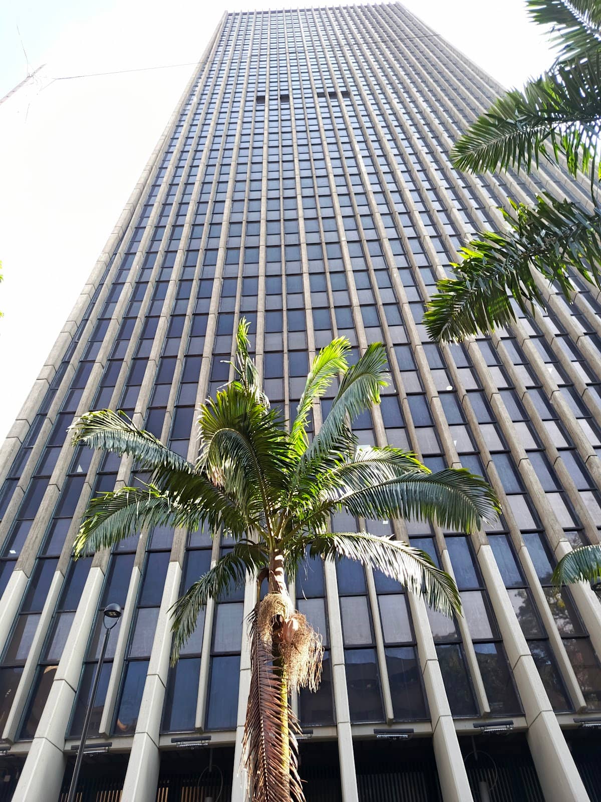 Textile Industry Symbol