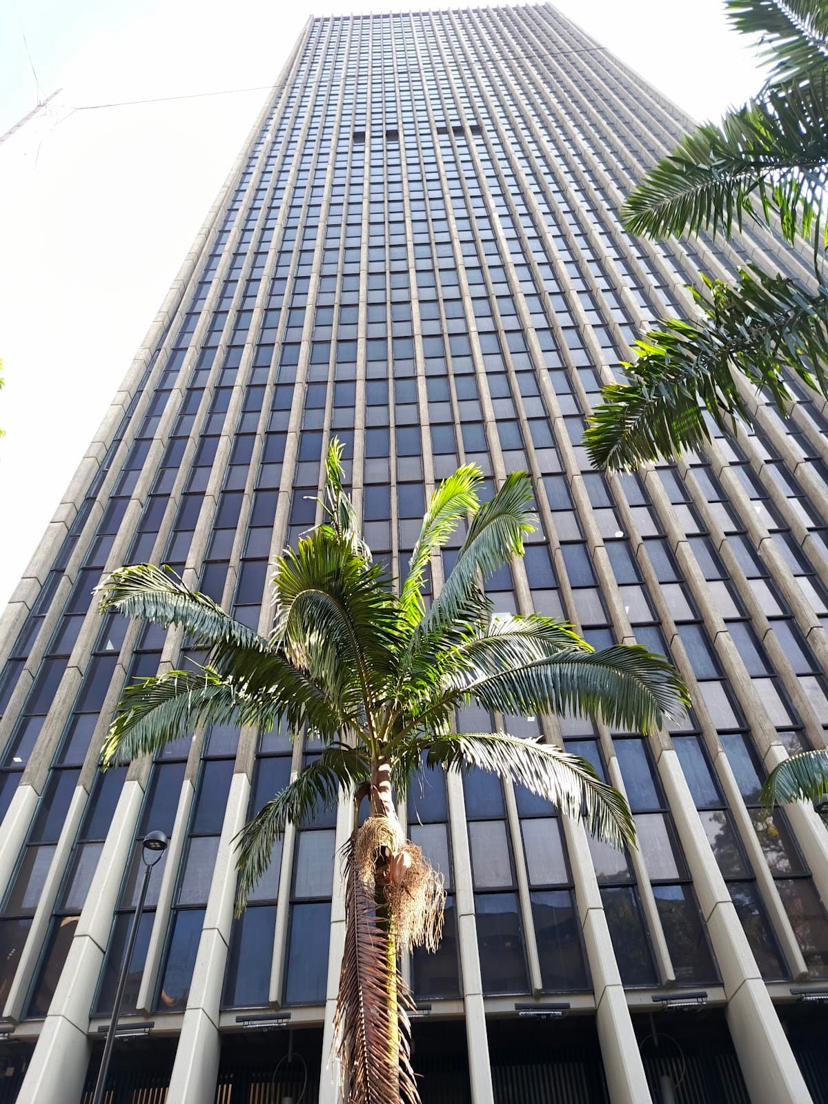 Edificio Coltejer - Image 1