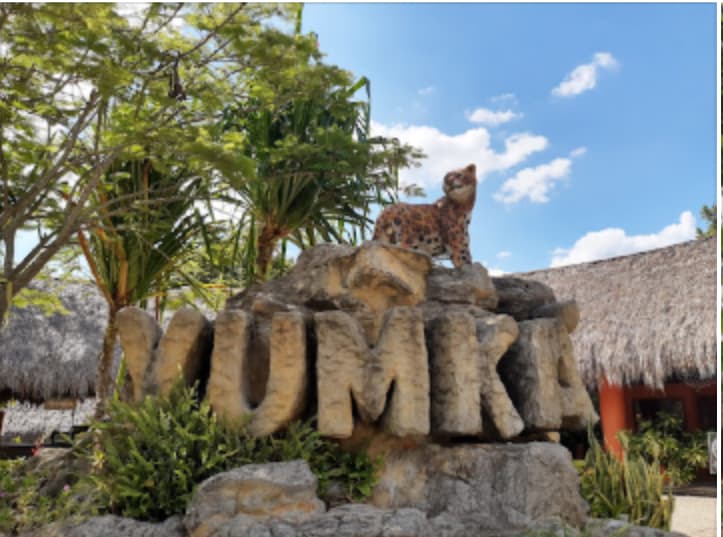 Yumká Ecological Reserve - Image 1