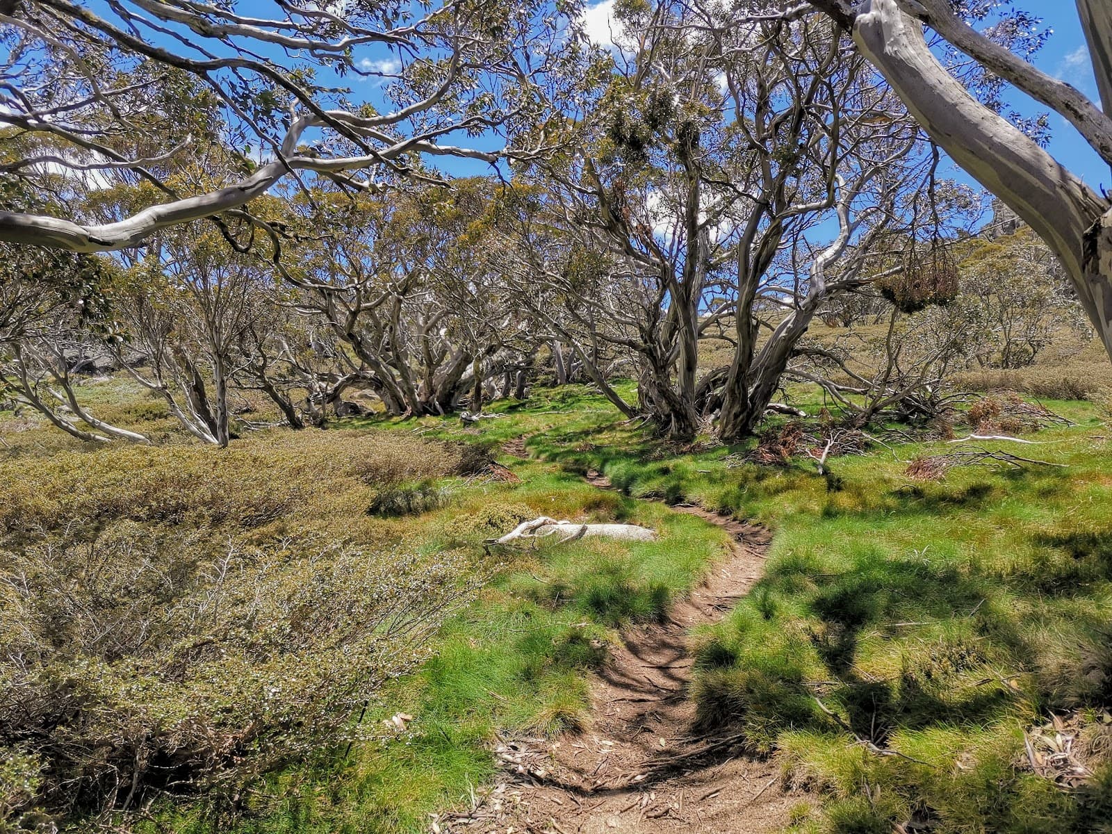 Dead Horse Gap Track - Image 1