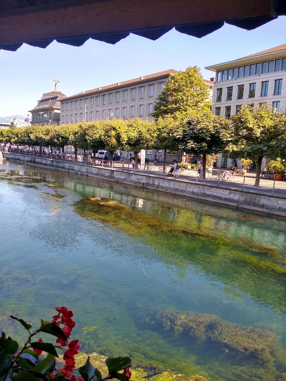Schynige Platte to First Hike