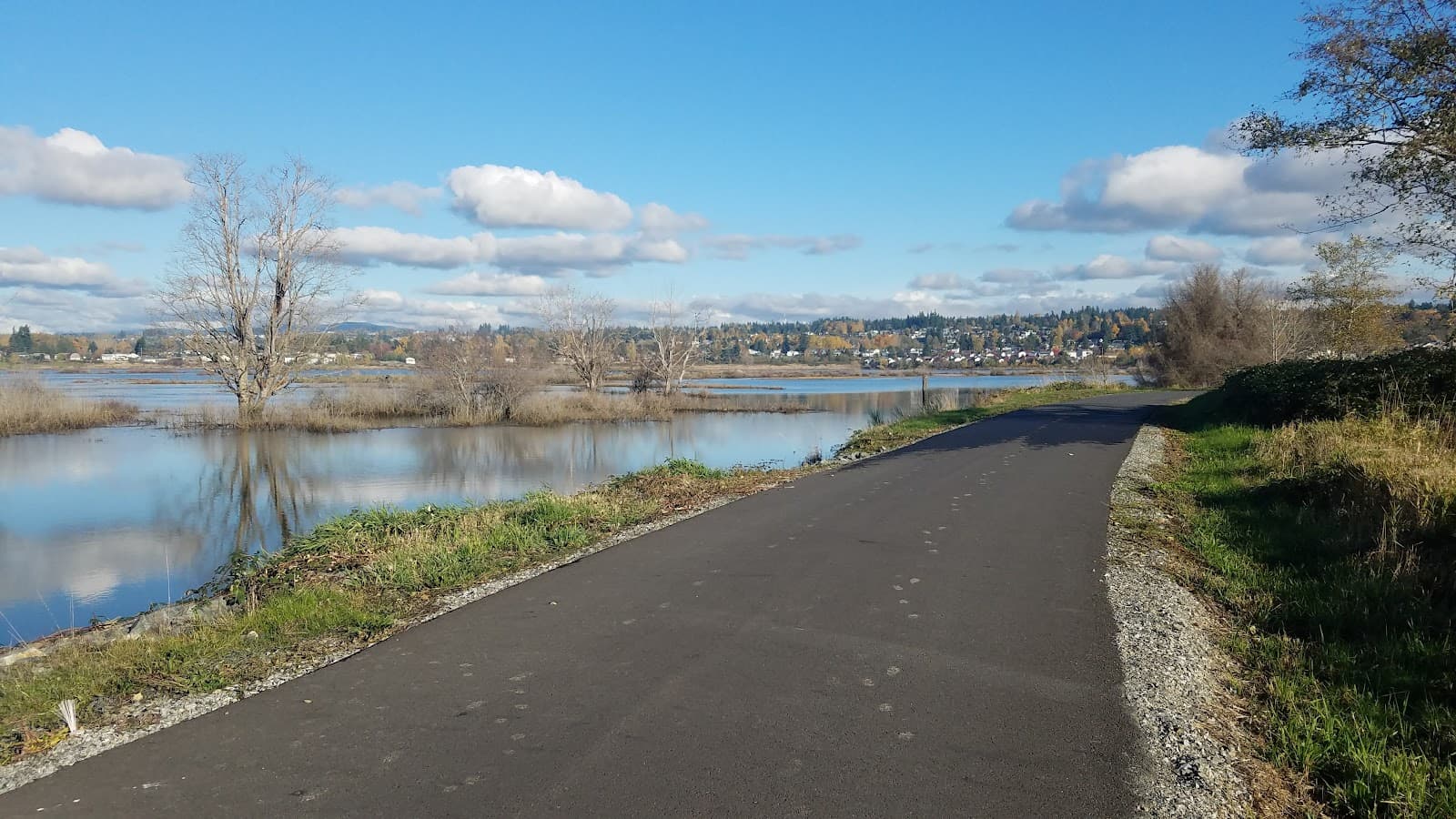 Ebey Waterfront Park - Image 1