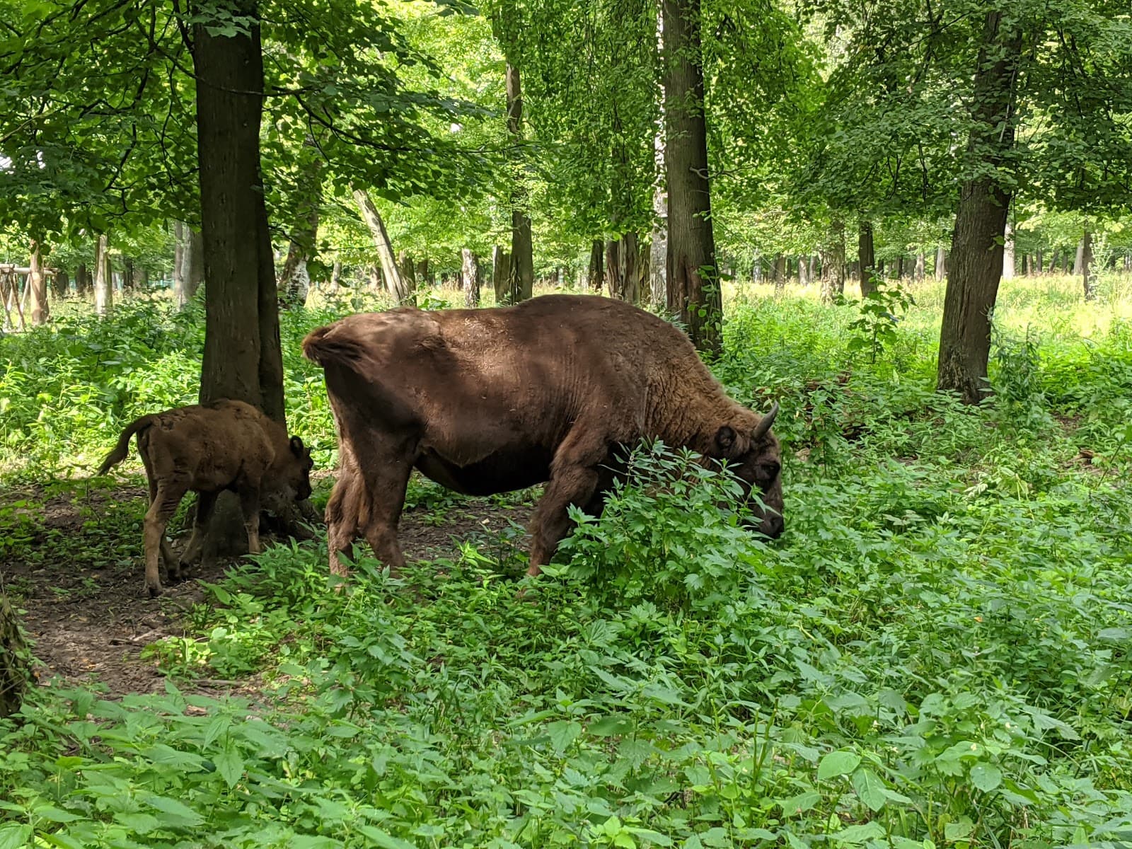 Danki Visitor Centre (Reserve) - Image 1