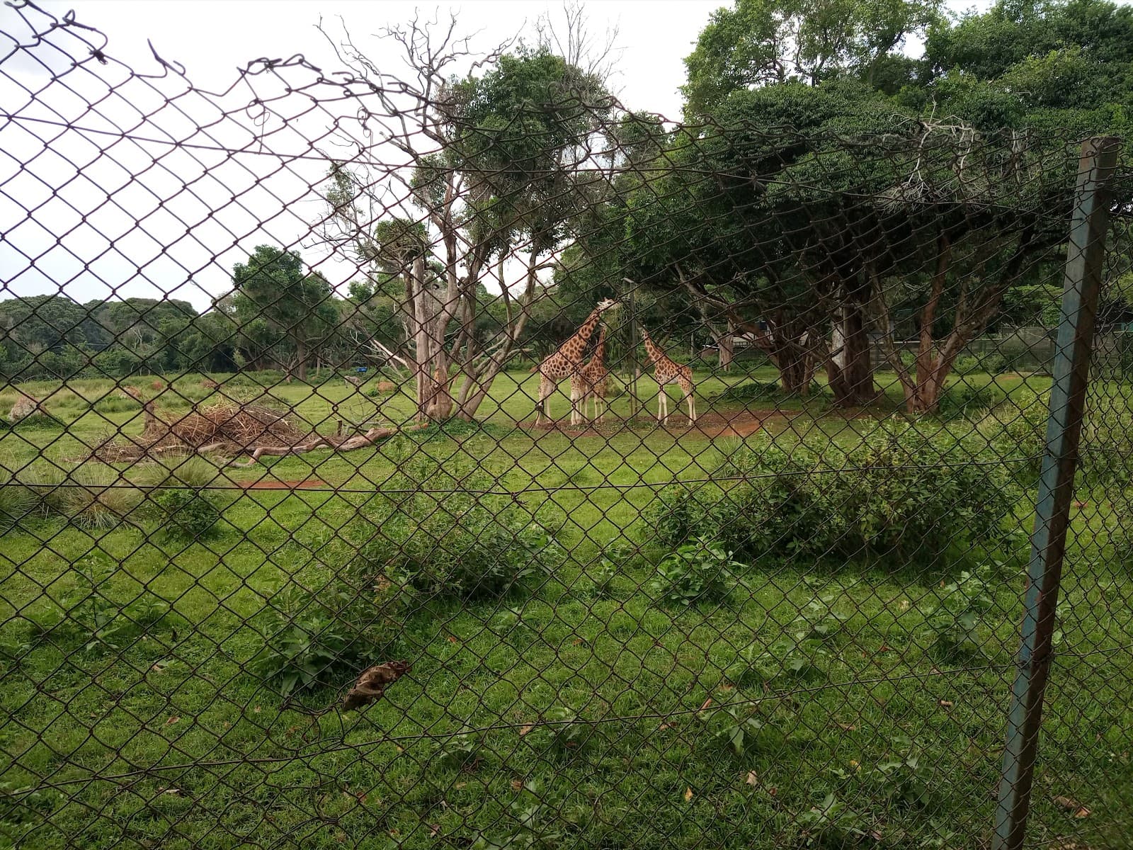Lake Victoria Waterfront Entebbe - Image 1