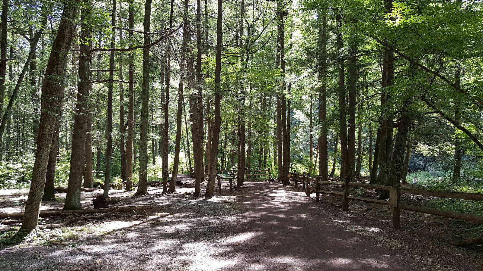 Diverse Hiking Trails