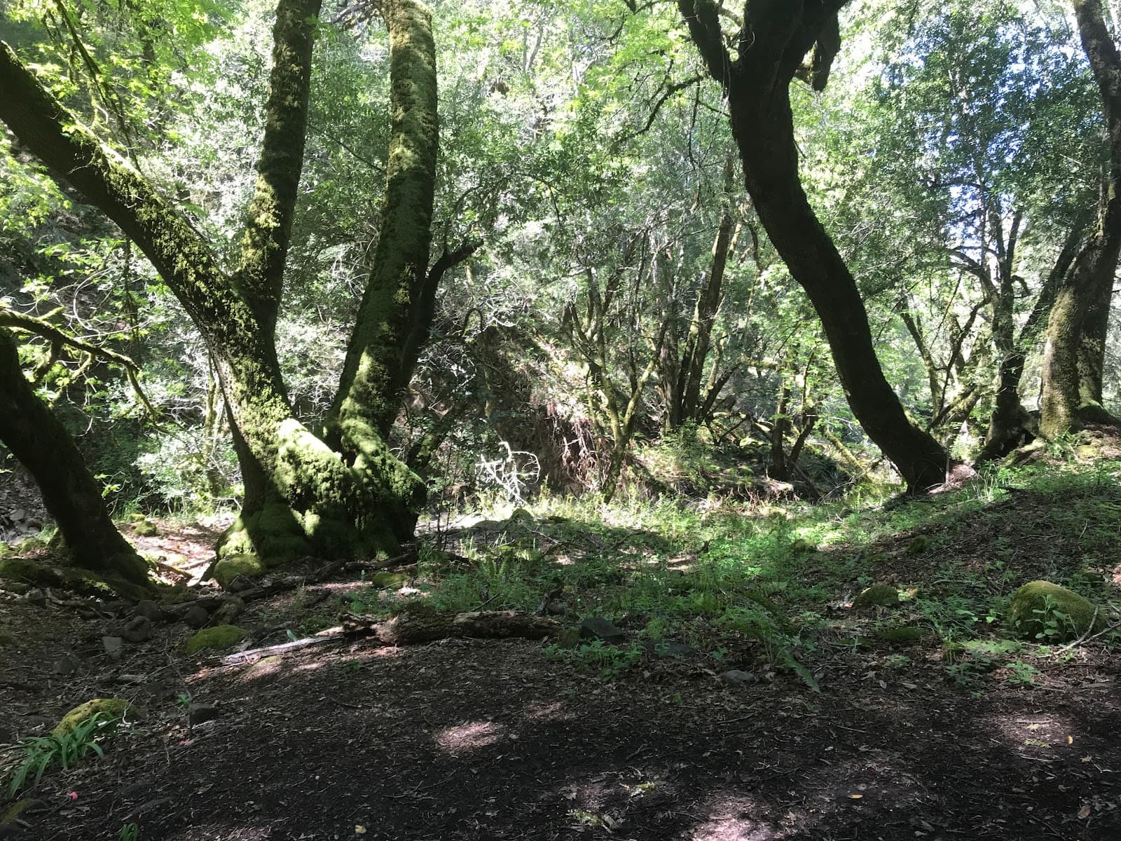 Fairfield Osborn Preserve - Image 1