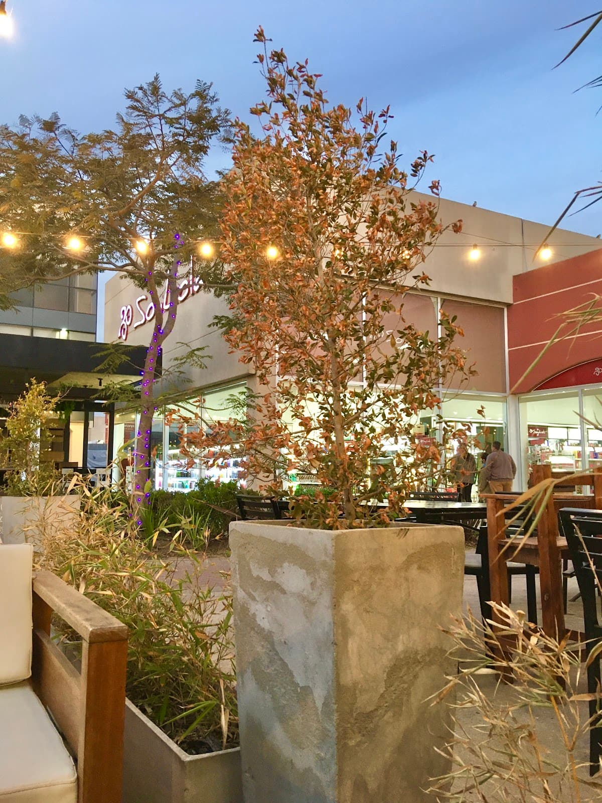 Fisherton Garden Suburb - Image 1