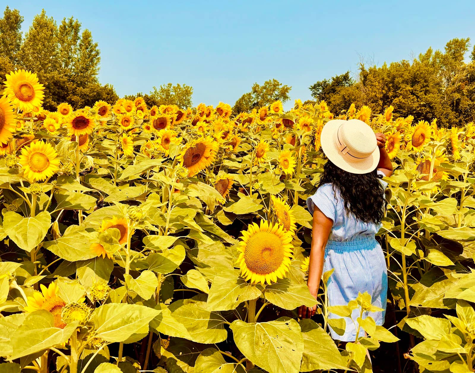 Artisanal Market & Treats