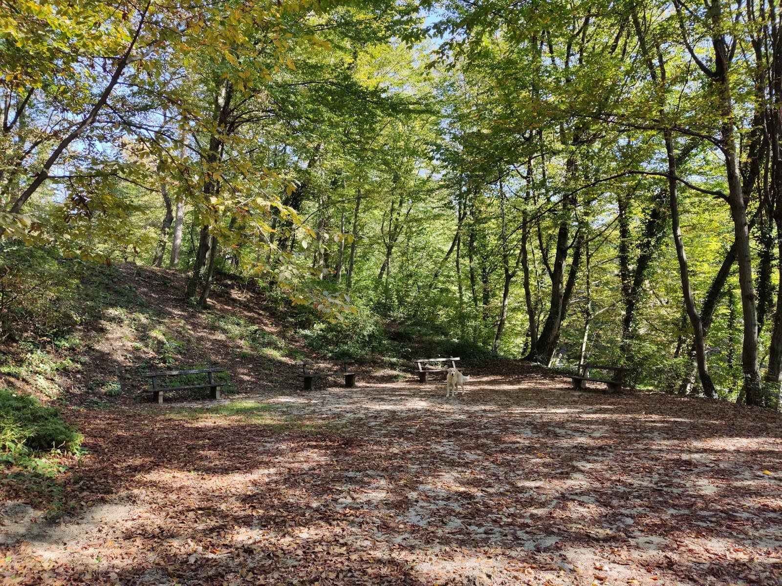 Tuškanac Forest & Park - Image 1