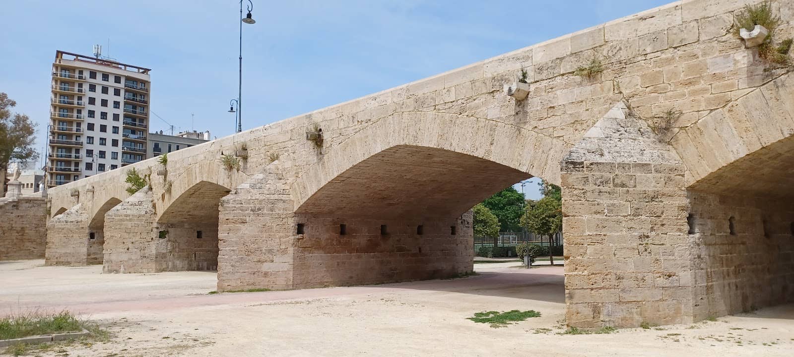 Vertical photo