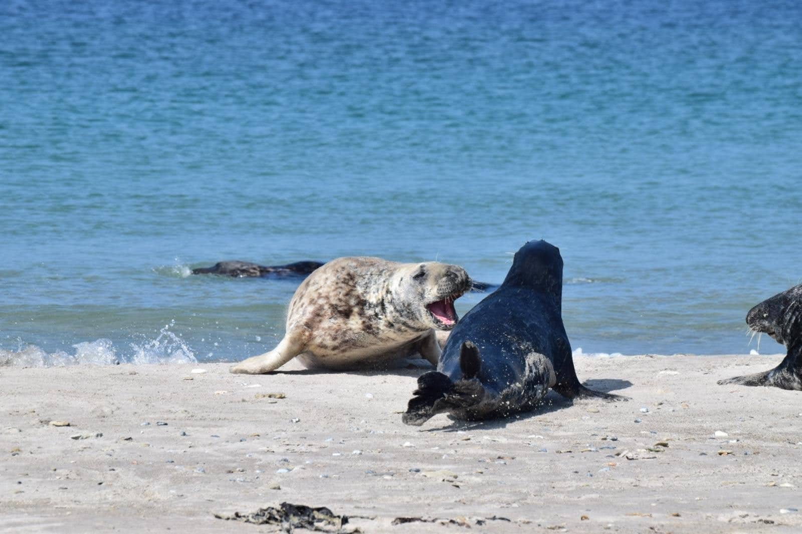 Birdwatcher's Paradise