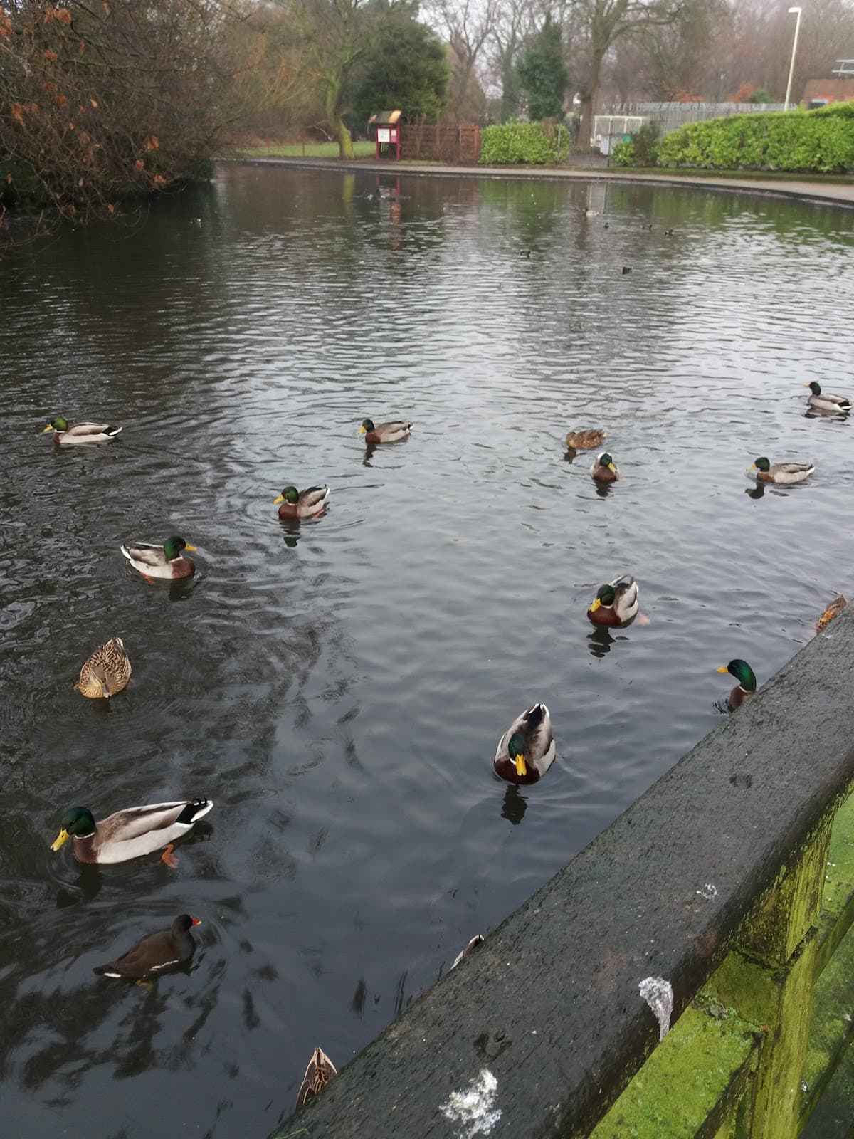 Coronation Park, Ormskirk - Image 1