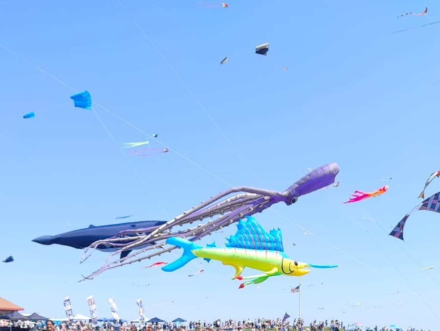 Sydney International Kite Festival - Image 1