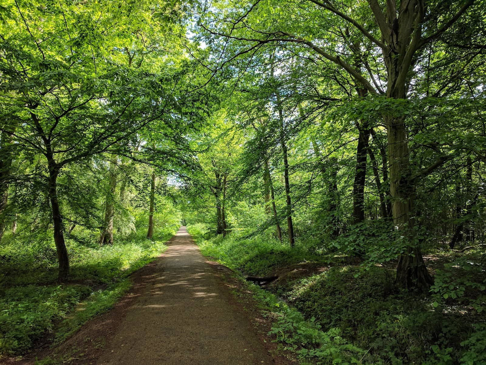 Woodland Trails