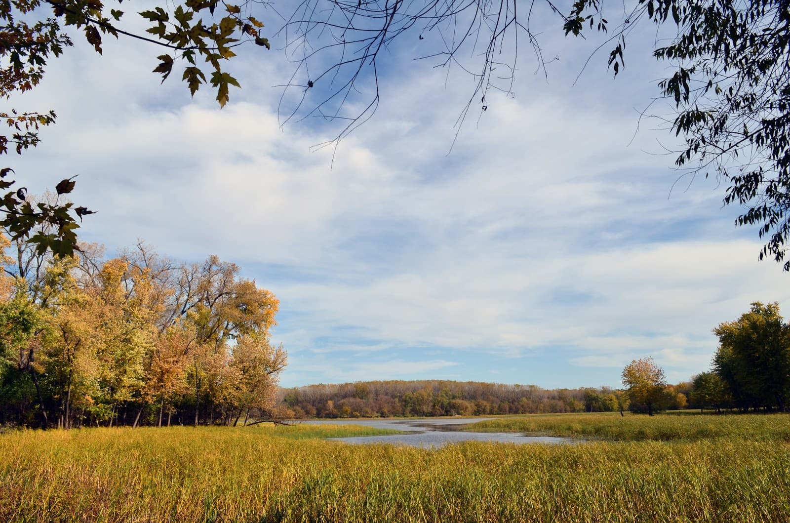 Minnesota Valley NWR: Louisville Swamp - Image 1