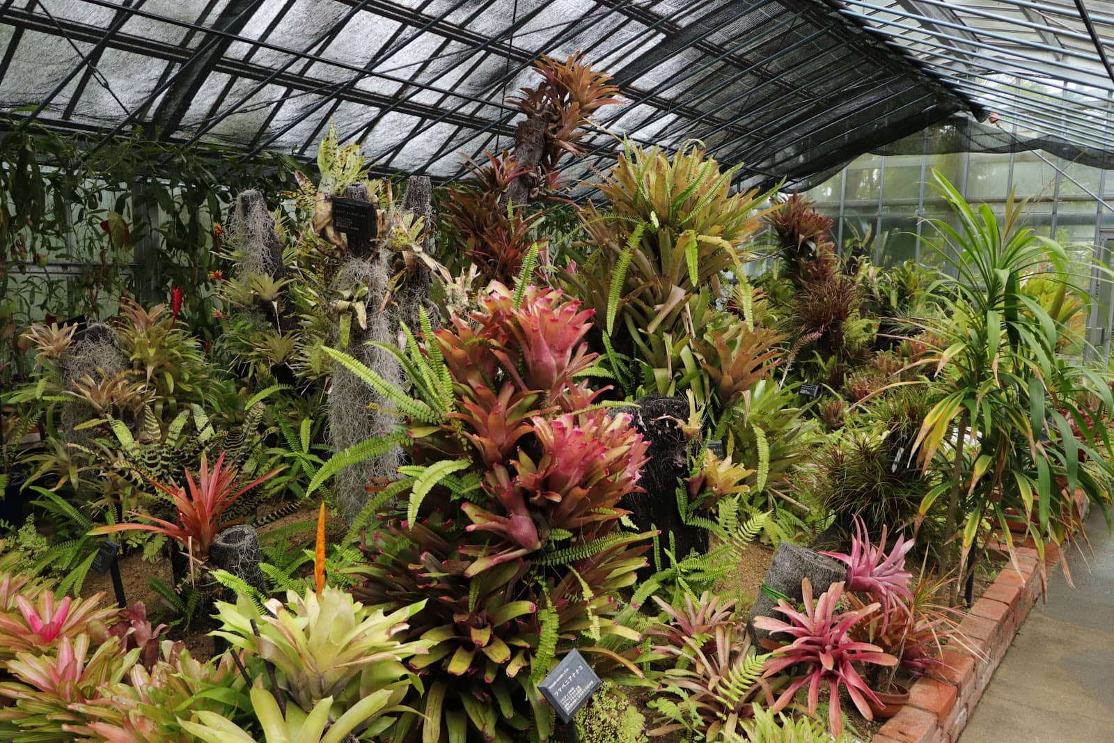 Seasonal Flower Displays