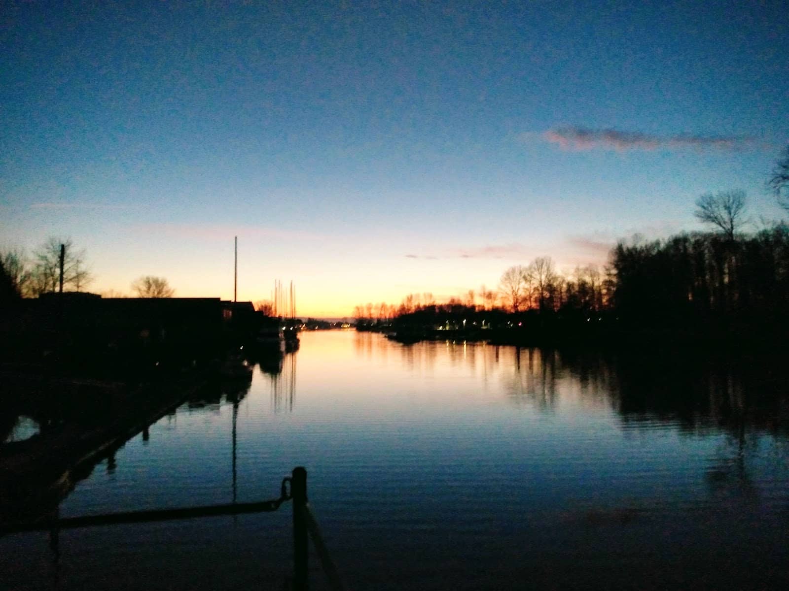 Birdwatching Opportunities