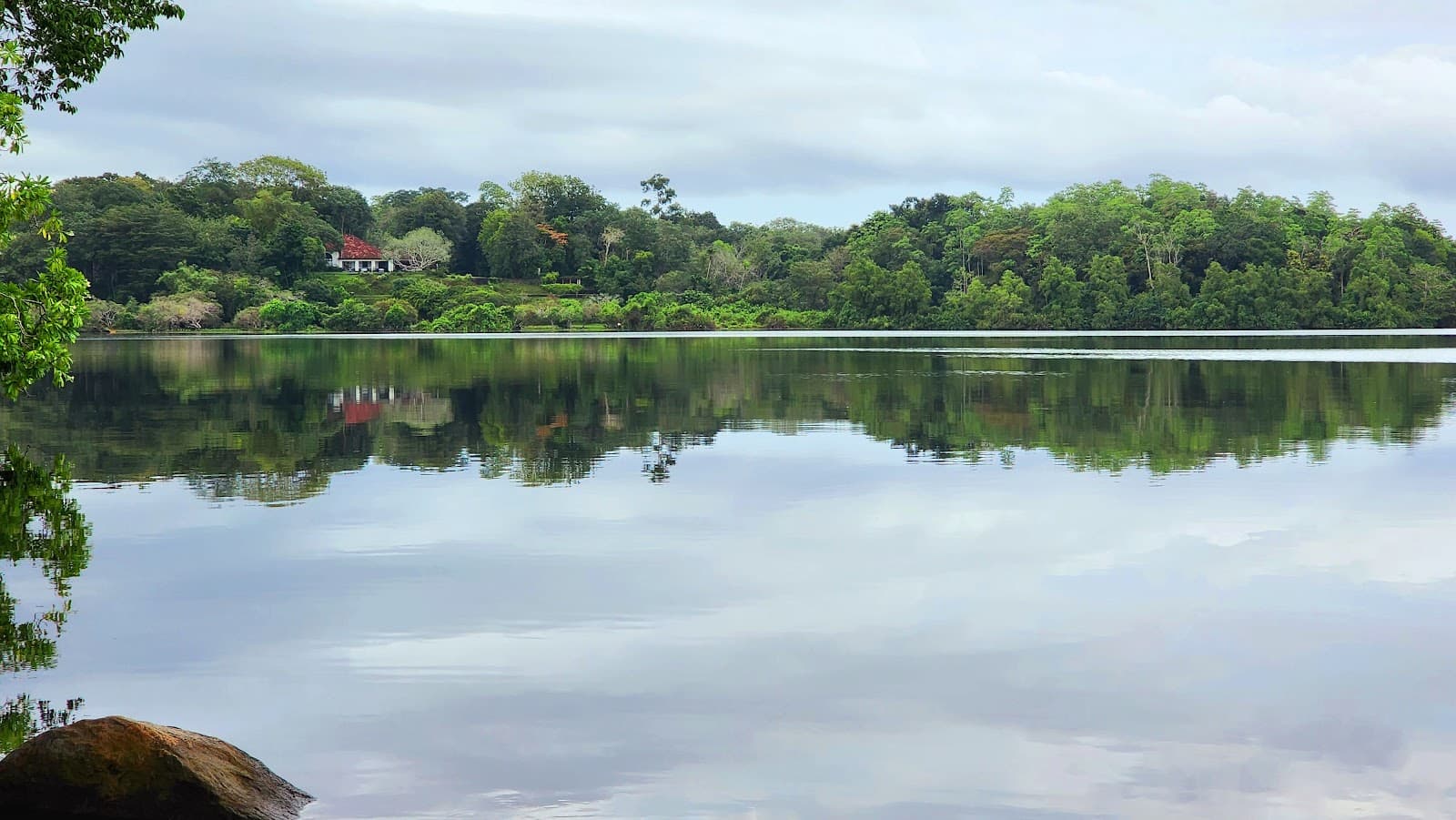 Dedduwa Lake - Image 1