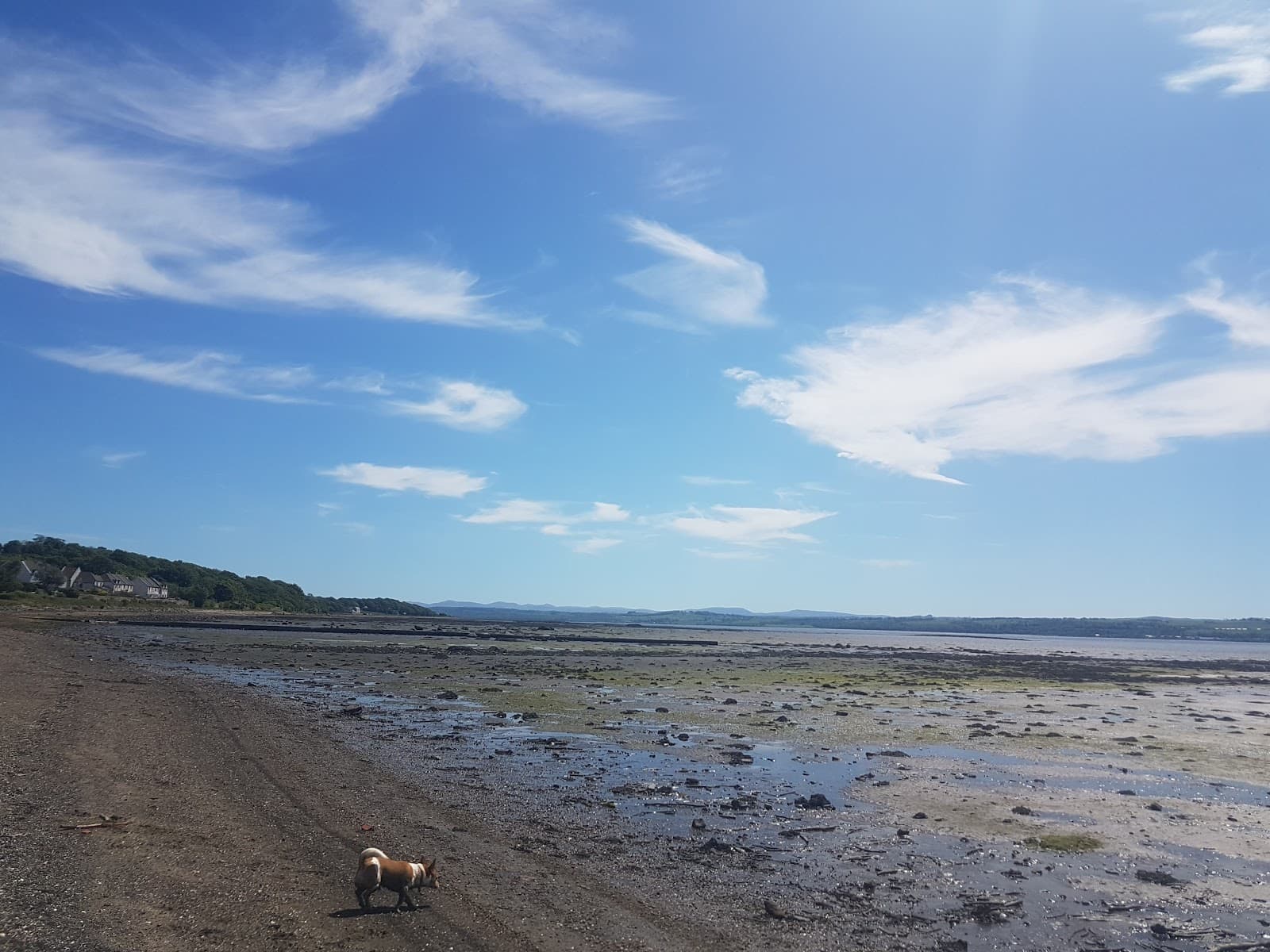 Torry Bay Nature Reserve - Image 1