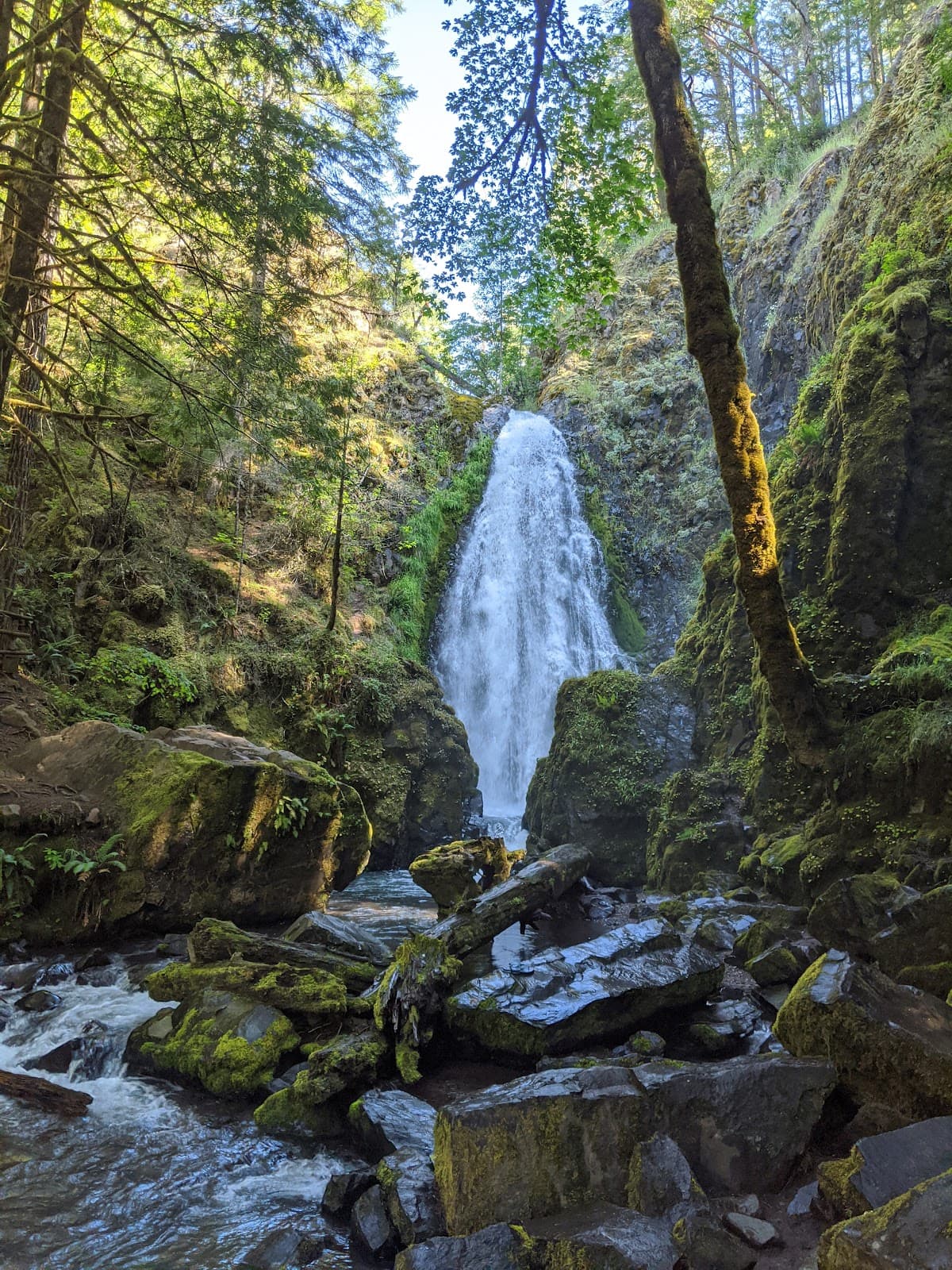 Susan Creek Falls - Image 1
