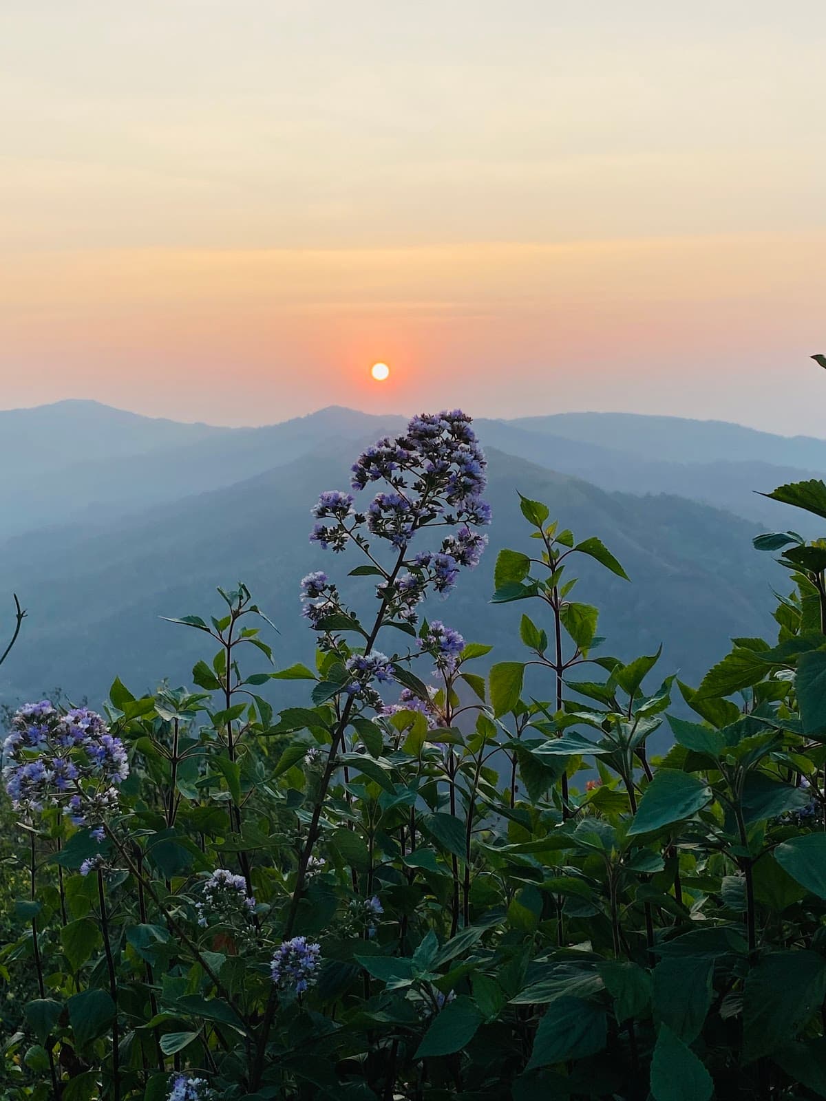 Kavikal Gandi Viewpoint - Image 1
