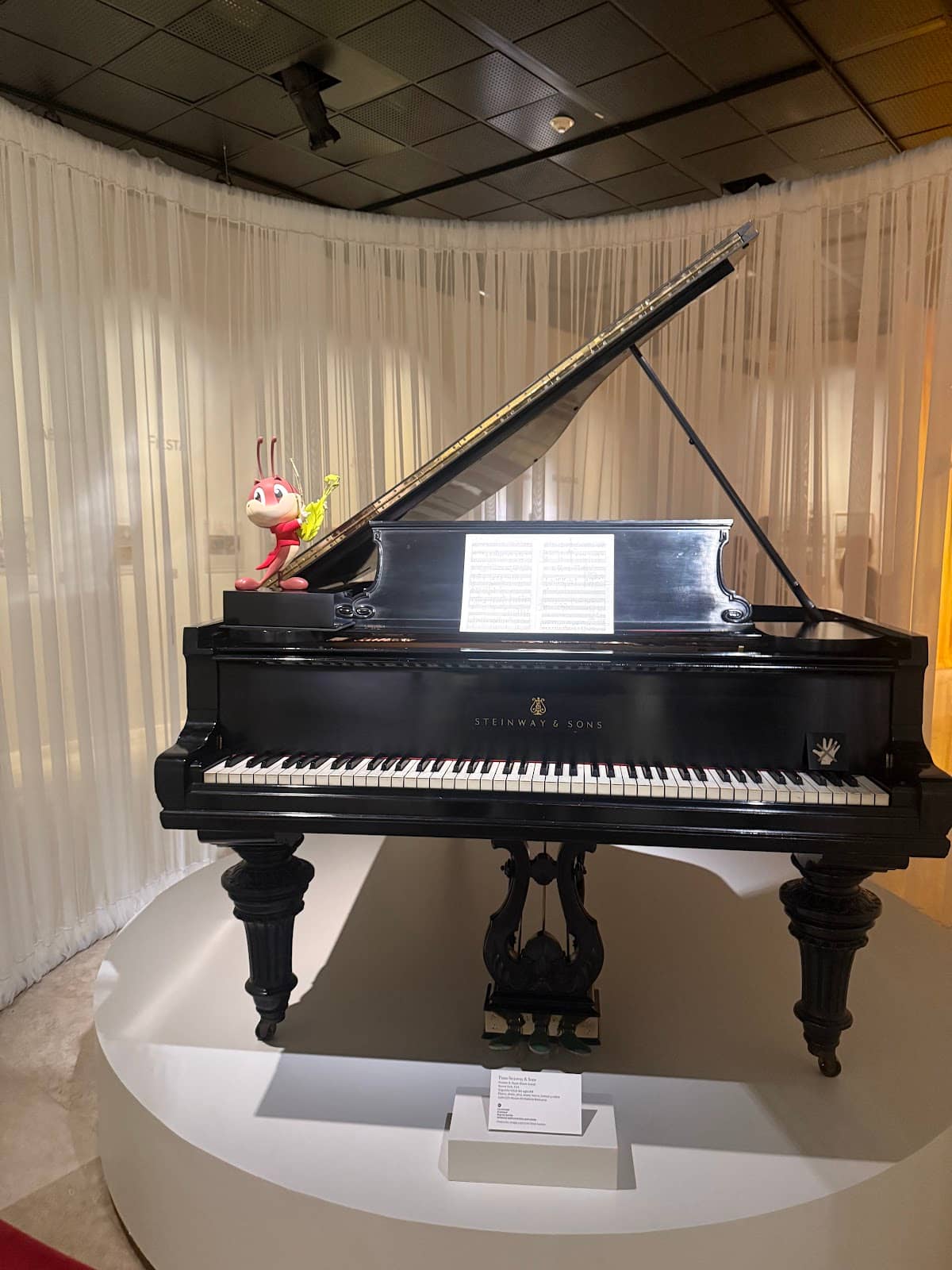 Marine Fossils of Vallecillo