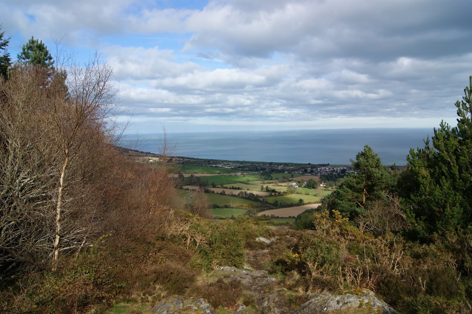 Kindlestown Wood - Image 1