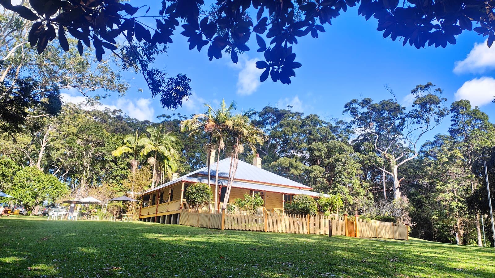 Koala Hospital - Image 1