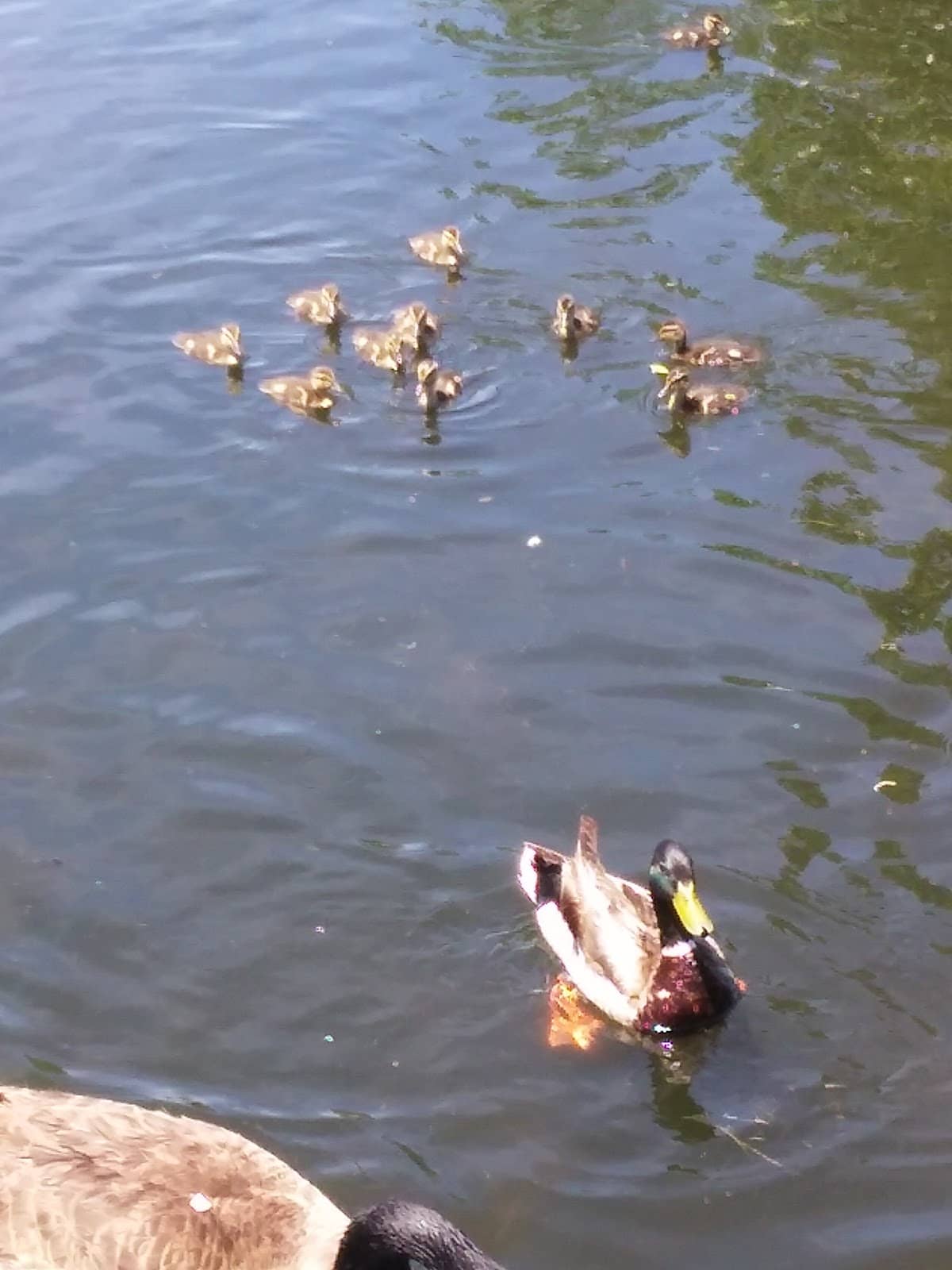 Bentonite Hills & Moonscape Overlook