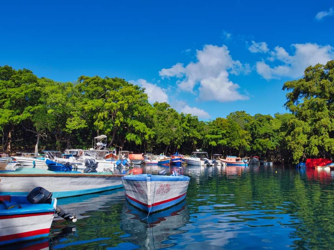 Laguna Gri-Gri (Río San Juan) - Image 1
