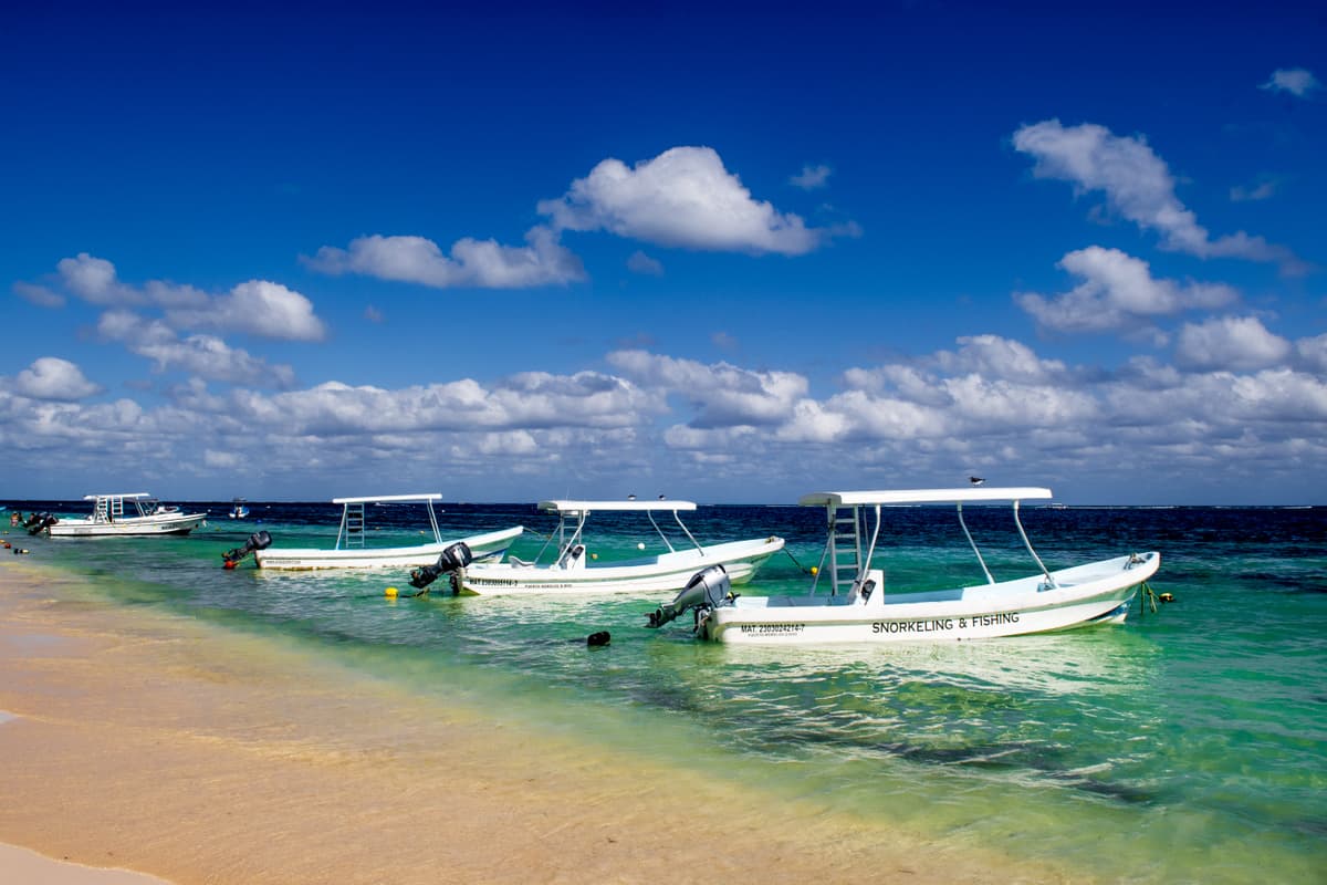 Puerto Morelos Town - Image 1