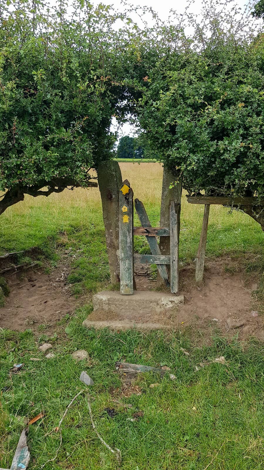 Local Pub Experience