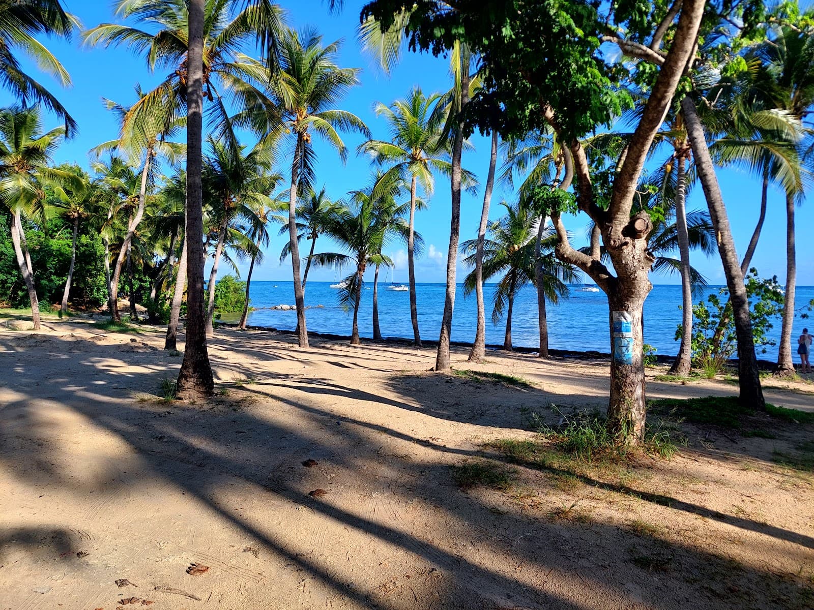 Anse Champagne La Coulée Beach - Image 1