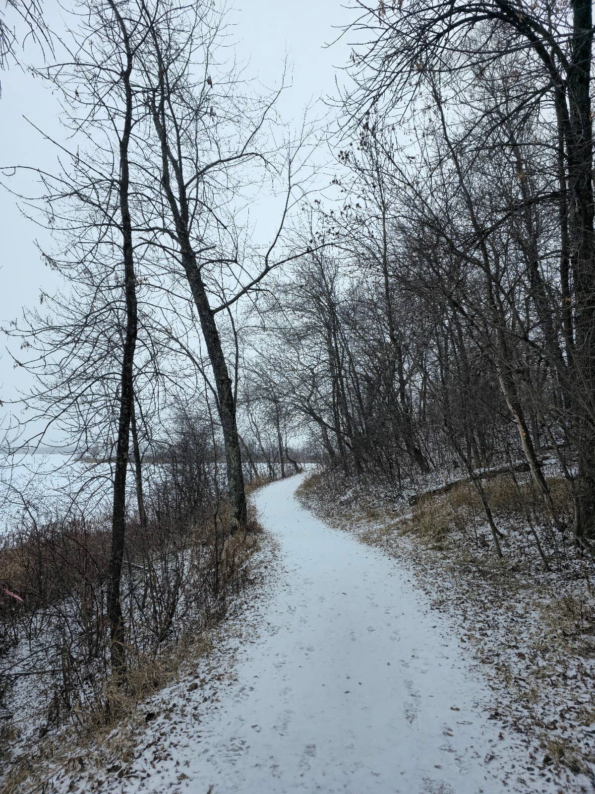 Connection to Willard Munger Trail