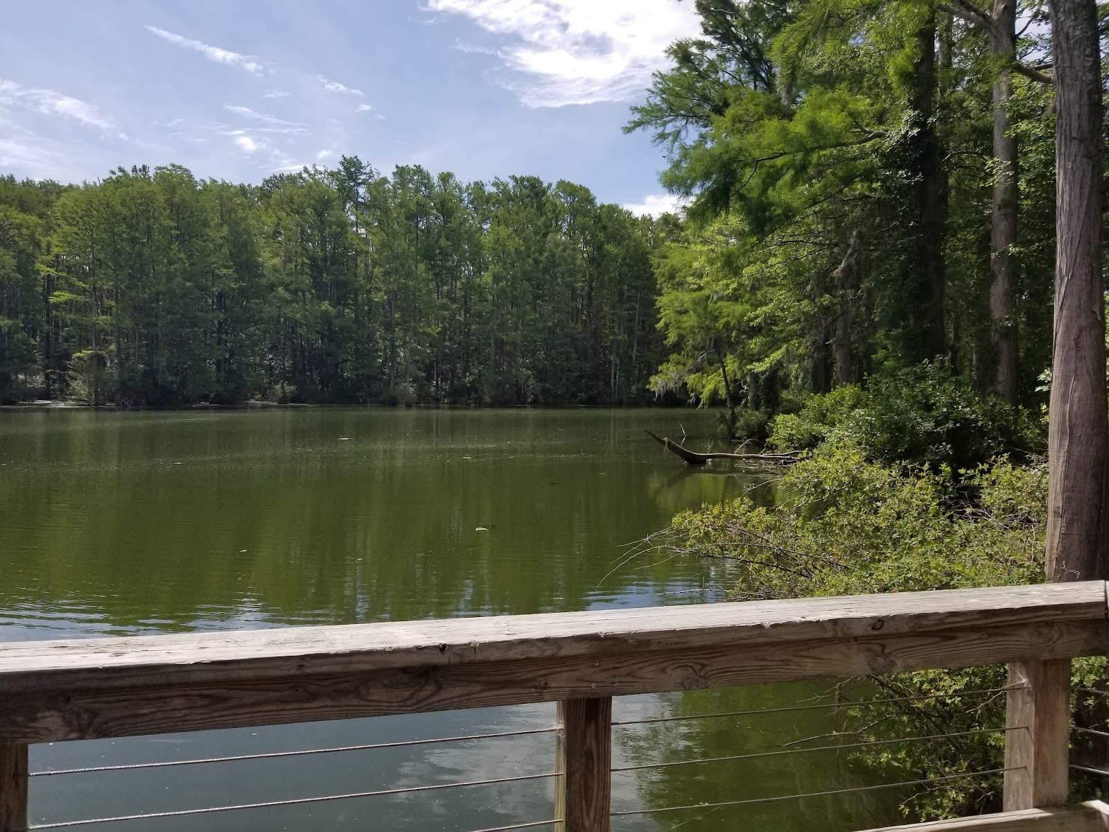 Greenfield Lake Park Wilmington - Image 1