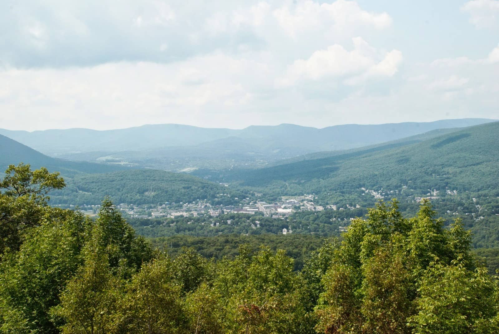 Unique Wildlife Encounters