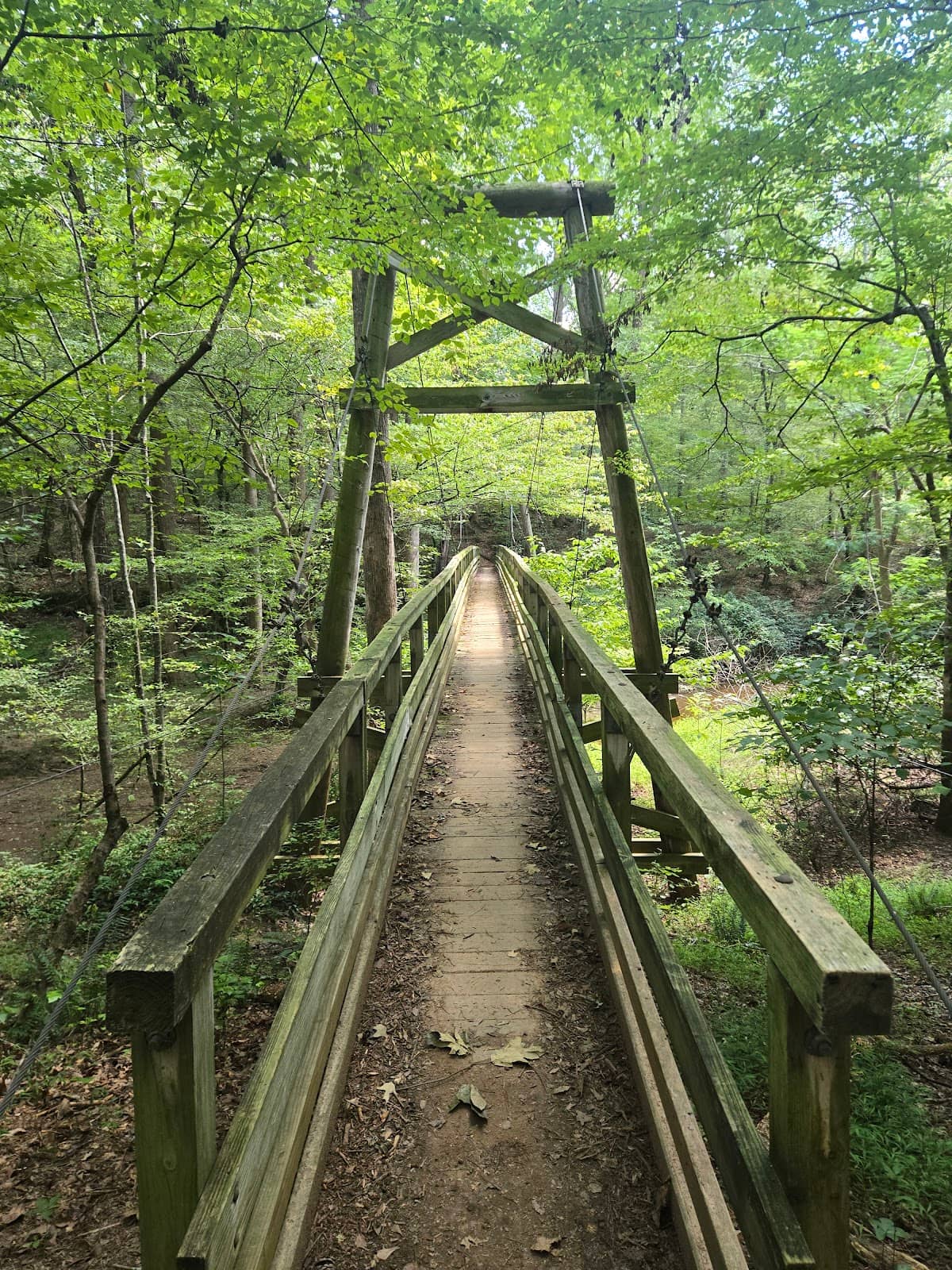 Mountain Biking Trails