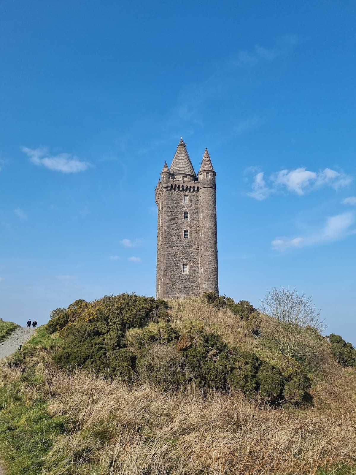 Scrabo Tower - Image 1
