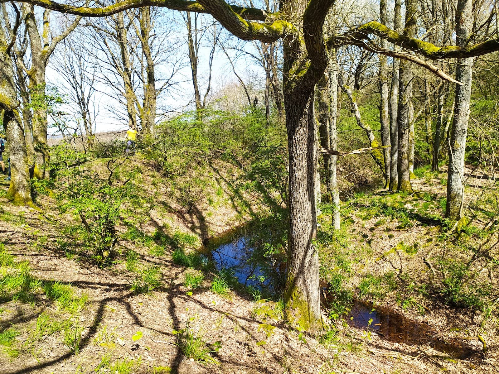 Eiserne Weinkarte Rest Area