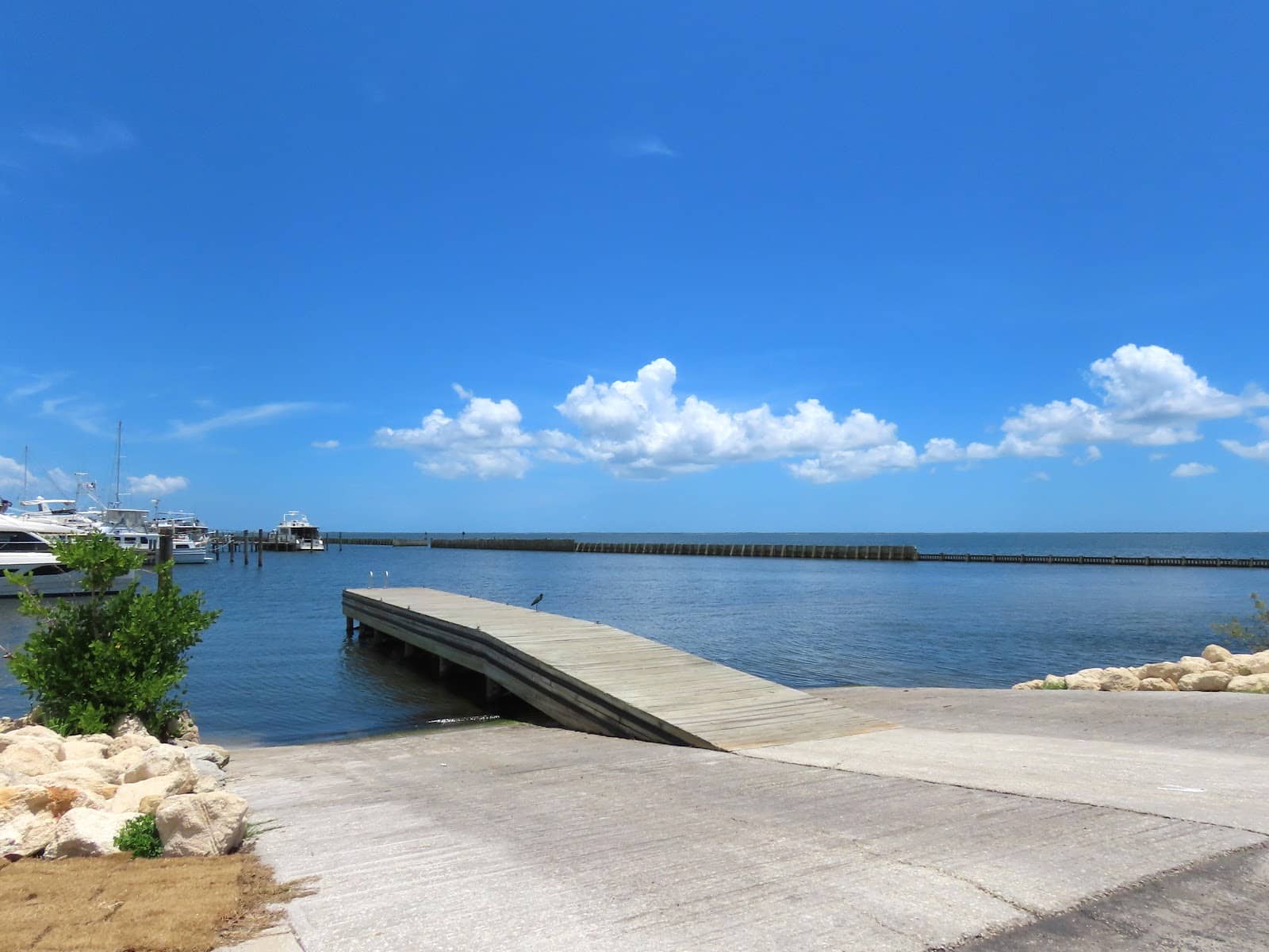 Picnic & Recreation Area