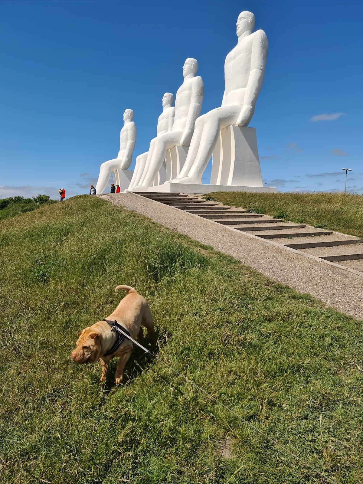 Man Meets the Sea Esbjerg - Image 1